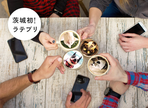 ペットホテル