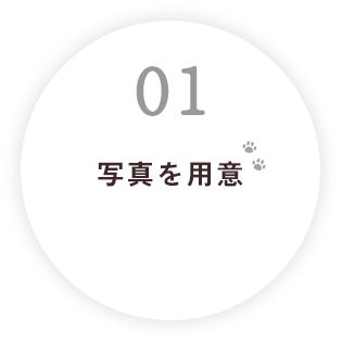 写真を用意