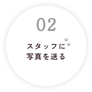 スタッフに写真を送る